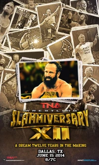 Постер фильма: TNA Сламмиверсари 12