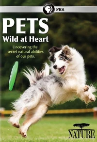 Постер фильма: Pets: Wild at Heart