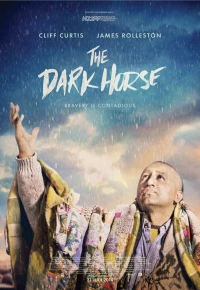 Постер фильма: Тёмная лошадка