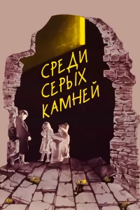 Постер фильма: Среди серых камней