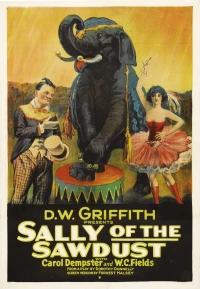 Постер фильма: Салли из опилок