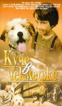 Постер фильма: Собака в ящике