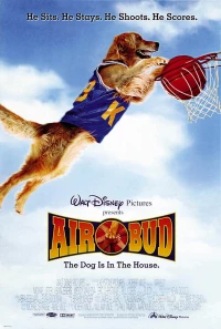 Постер фильма: Король воздуха