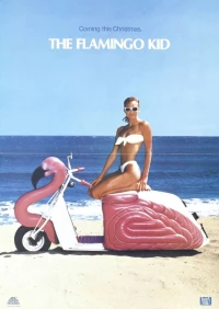 Постер фильма: Парень из «Фламинго»