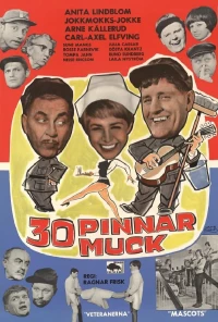 Постер фильма: 30 pinnar muck