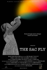 Постер фильма: The Sac Fly
