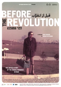 Постер фильма: Before the Revolution