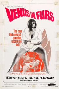Постер фильма: Венера в мехах