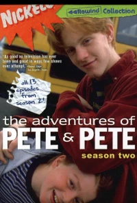 Постер фильма: Приключения Пита и Пита