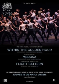 Постер фильма: В золотой час. Медуза. Схема полёта