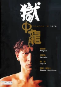 Постер фильма: Дракон в тюрьме