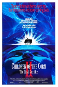 Постер фильма: Дети кукурузы 2: Последняя жертва