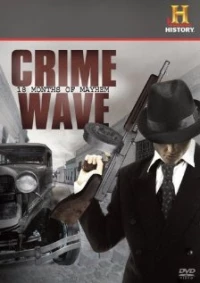 Постер фильма: Crime Wave: 18 Months of Mayhem