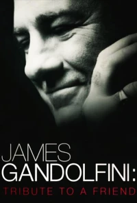 Постер фильма: James Gandolfini: Tribute to a Friend