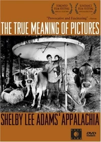 Постер фильма: The True Meaning of Pictures: Shelby Lee Adams' Appalachia