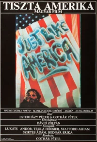 Постер фильма: Просто Америка
