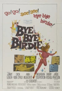 Постер фильма: Пока, пташка