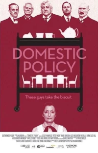 Постер фильма: Domestic Policy