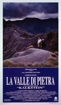 Постер фильма: Долина камня