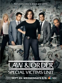 Постер фильма: Закон и порядок. Специальный корпус
