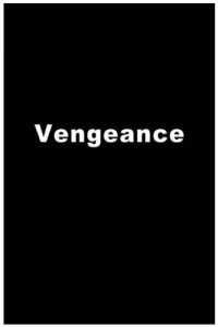 Постер фильма: Vengeance