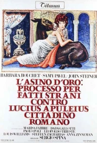 Постер фильма: Золотой осёл: Цепь необыкновенных событий, направленных против Люциуса Апулеуса, жителя Рима