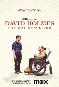 Постер фильма: Дэвид Холмс: Мальчик, который выжил