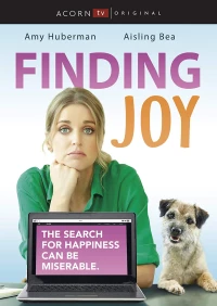 Постер фильма: В поисках радости, в поисках Джой