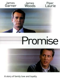 Постер фильма: Обещание