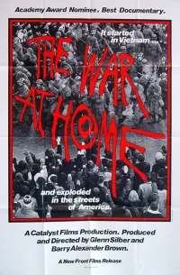 Постер фильма: Домашняя война