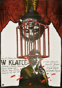 Постер фильма: В клетке