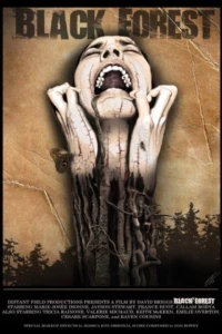 Постер фильма: Black Forest