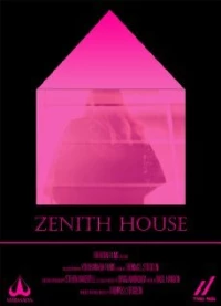 Постер фильма: Zenith House
