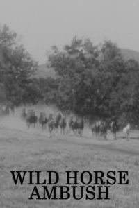 Постер фильма: Wild Horse Ambush
