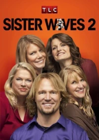 Постер фильма: Sister Wives