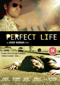 Постер фильма: Идеальная жизнь