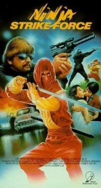 Постер фильма: Ninja Strike Force