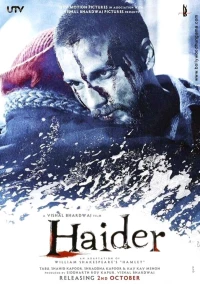 Постер фильма: Хайдер