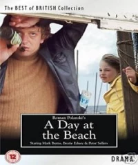 Постер фильма: День на пляже