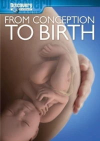 Постер фильма: From Conception to Birth