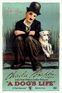 Постер фильма: Собачья жизнь