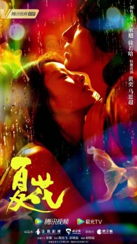 Постер фильма: Летние цветы