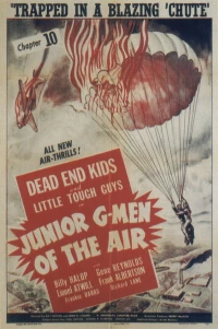 Постер фильма: Junior G-Men of the Air