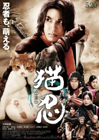 Постер фильма: Ниндзя и кот