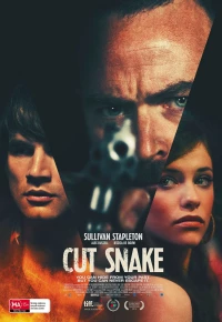 Постер фильма: Раненый змей