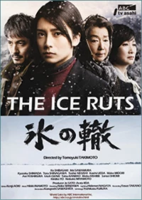 Постер фильма: Ледяная колея