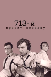 Постер фильма: 713-й просит посадку