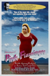 Постер фильма: Розовые фламинго