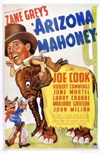 Постер фильма: Arizona Mahoney