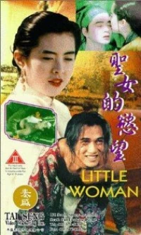Постер фильма: Маленькая женщина